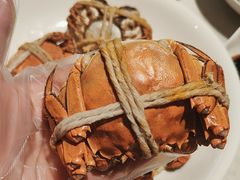 -杨氏青龙虾·羊肉季(金盛路总店)
