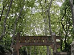 -灵谷景区