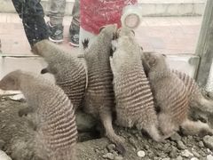 -国色天乡三期陆地乐园