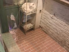-猫咪博物馆(顶澳仔猫街店)
