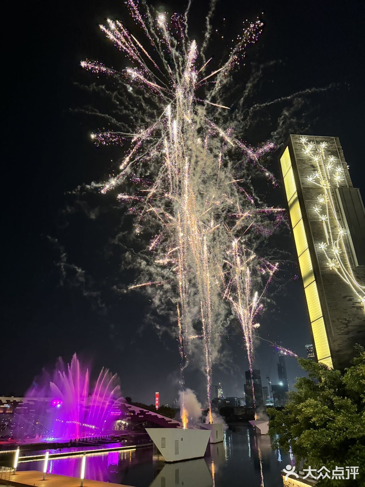 打卡深圳zui美的湖边烟花环境地🏕️