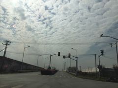 -上海浦南农副产品批发市场