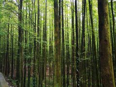 -山王坪喀斯特国家生态公园