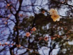 -无锡梅园公园
