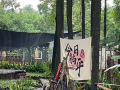 -花溪公园