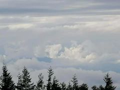 -富士山吉田線五合目