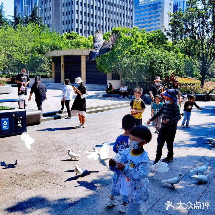 🐦来人民公园和和平鸽子来个邂逅吧
