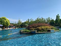 -浦鸿会游泳健身中心·Ambassy Club PD(金桥碧云国际社区店)