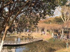 -太子山公园(园东路)