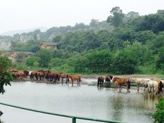 iphone_upload_pic-苏州太湖牛仔风情度假村