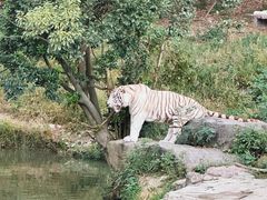 -宁波野生动物园