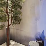 就算在成都也能吃到高品质日料，过一个不一样的七夕✿