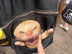 -迪士尼小镇