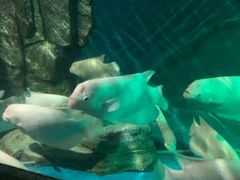 -泉州海丝野生动物世界