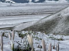 -新疆那拉提国家旅游度假区