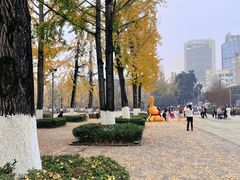 -百林公园-两江幸福广场