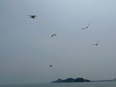 -海驴岛(荣成市)