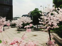 -大洋晶典(东街店)