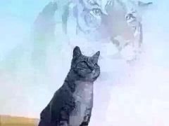 -蔡伦竹海