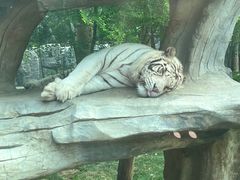 -北京野生动物园