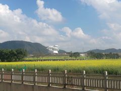 -光明小镇欢乐田园
