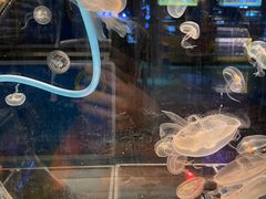 -沈阳海洋探索中心