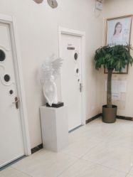 -紫洁俪方（北京）医疗美容