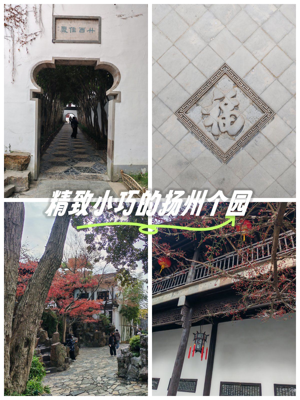 个园面积不大,处处透着园子主人对美学的造诣,不同位置看不用季节的景