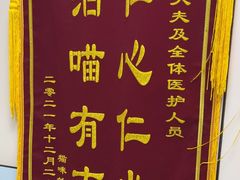 -中农国际动物医院24小时·猫科·骨科·急重症中心