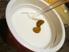 自制老酸奶-贯贯吉·清真餐厅(浙江中路店)