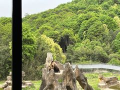 -杭州野生动物世界