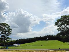 -迪茵湖田家舍生态农场