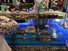 水产区-梅园国际大酒店·自助餐厅(光明港店)
