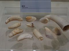 -上海中国航海博物馆