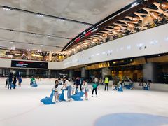 -TheRink大零溜冰场(IFS国金中心店)