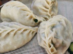 -小叶大馅饺子城