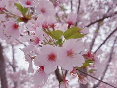 -龙美术馆(西岸馆)