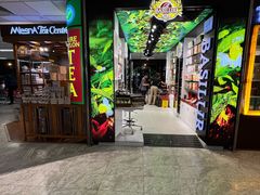 -班达拉奈克国际机场