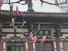 -唐城墙遗址公园