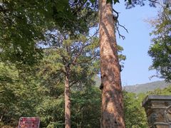 -北京上方山国家森林公园