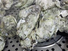-蚝专家(北滘店)