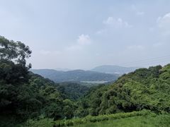-广州市帽峰山景区