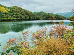 -永州阳明山国家森林公园