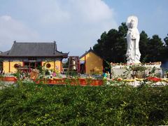 android_upload_pic-大金山风景区