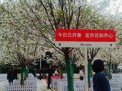 -武商摩尔影城(国广IMAX激光店)