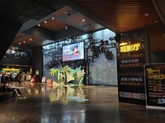 -万达影城IMAX(海口日月广场店)