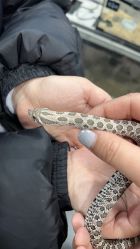 -Moni星球萌宠·小马宝莉·灵蛇·高端高阶全萌宠互动体验俱乐部(红豆国际广场店)