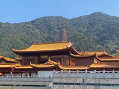 -深圳仙湖植物园