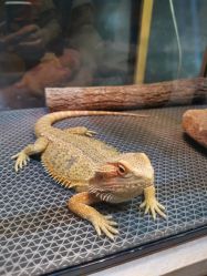 -酷嗒动物文化乐园(cutezoo西溪乐天城店)