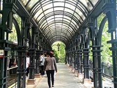 -合肥滨湖国家森林公园